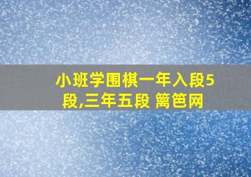 小班学围棋一年入段5段,三年五段 篱笆网